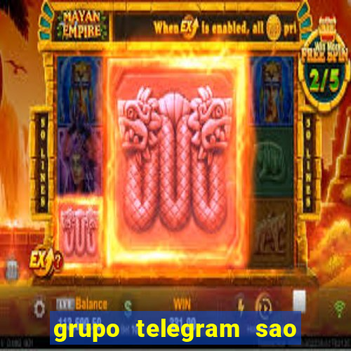 grupo telegram sao jose do rio preto